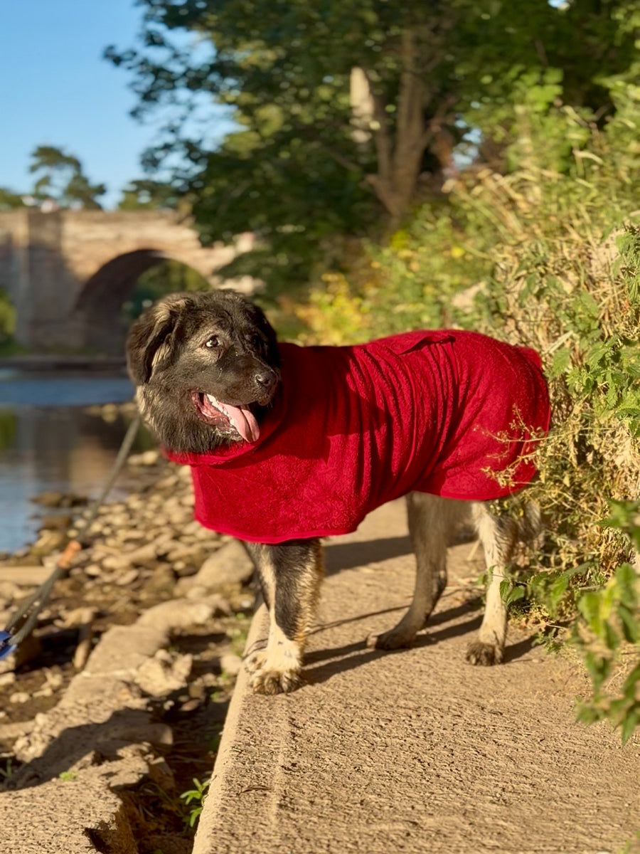 Drying Robe