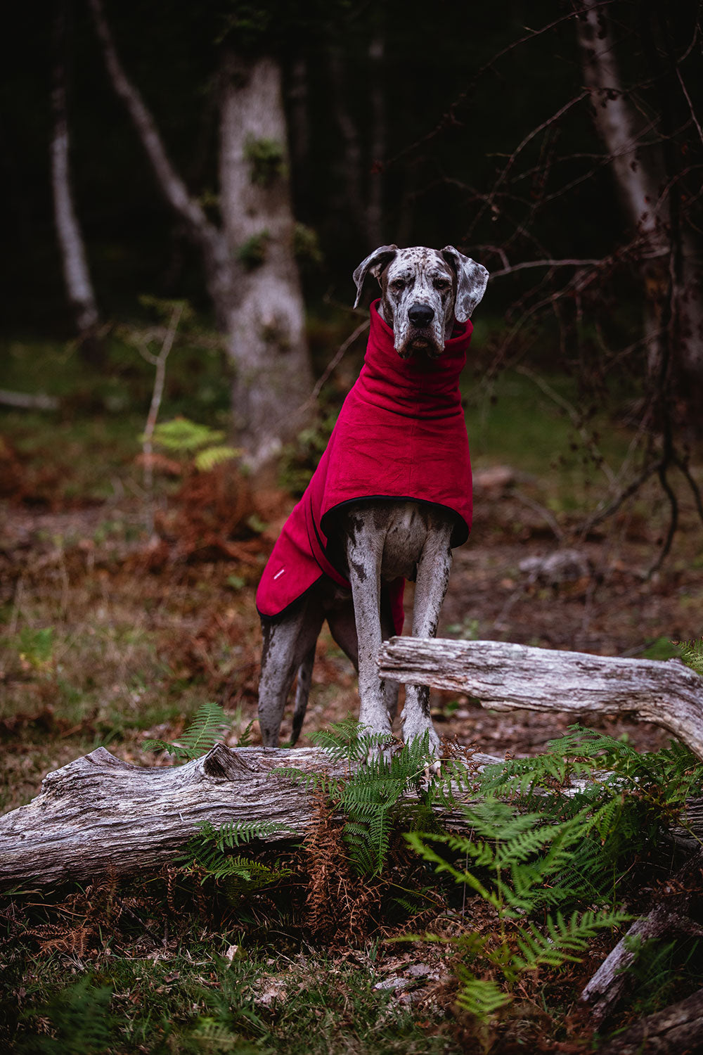 The Woodland Fleece