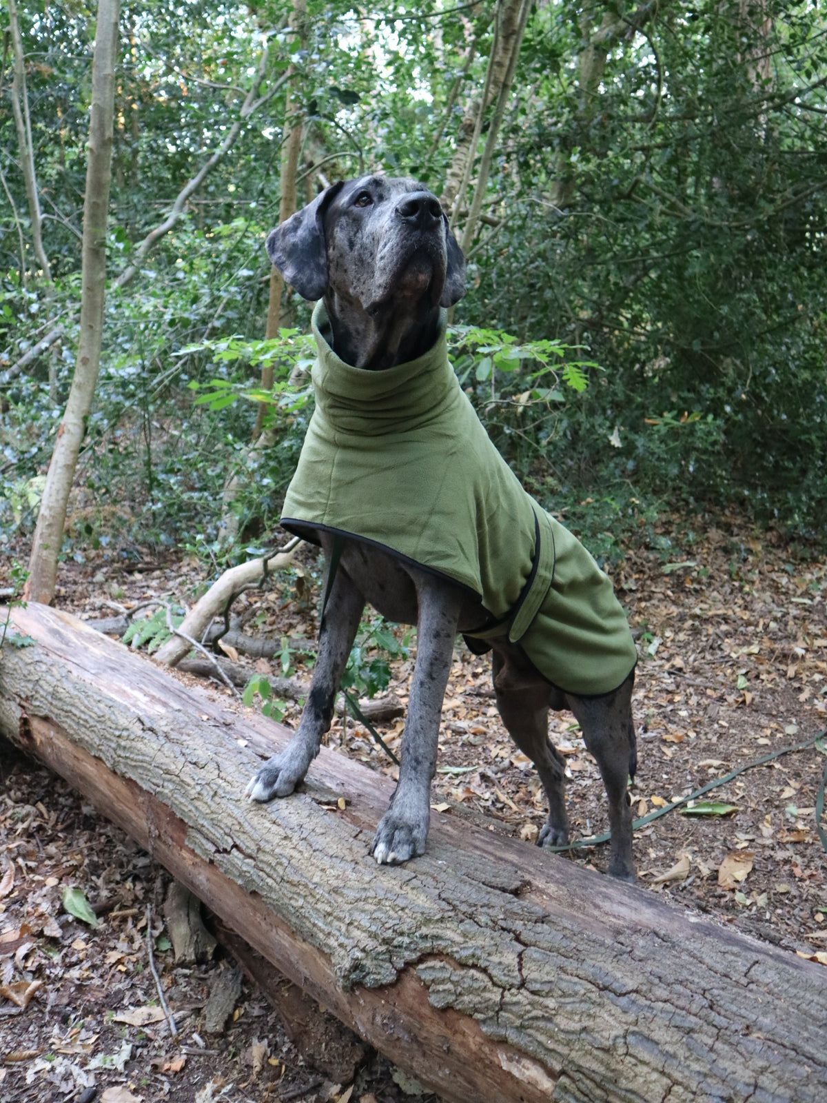 The Woodland Fleece