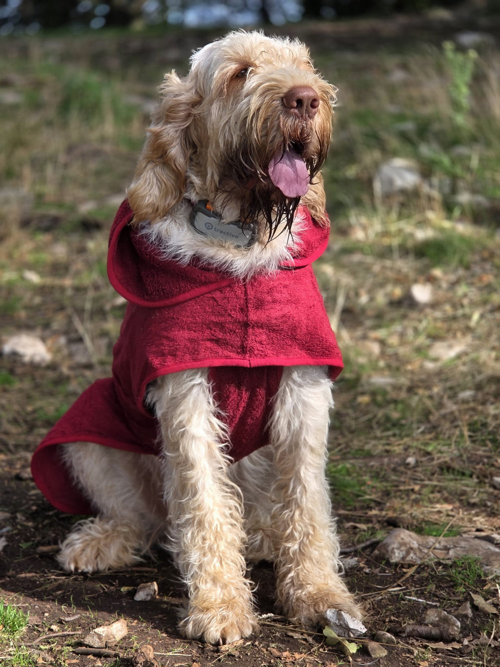 Drying Robe