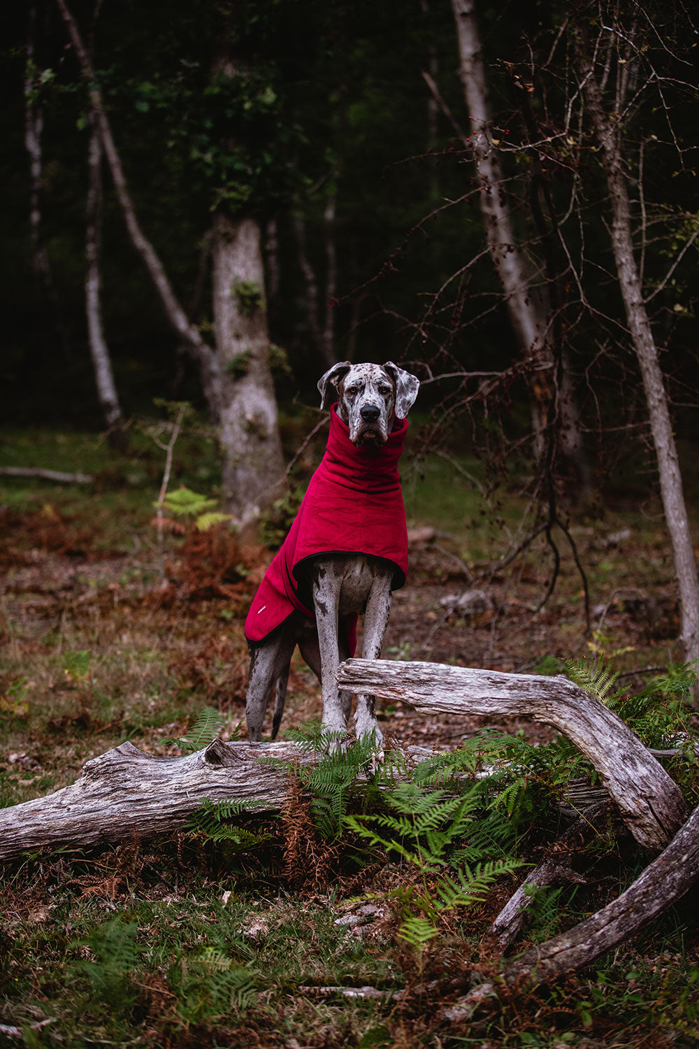 The Woodland Fleece