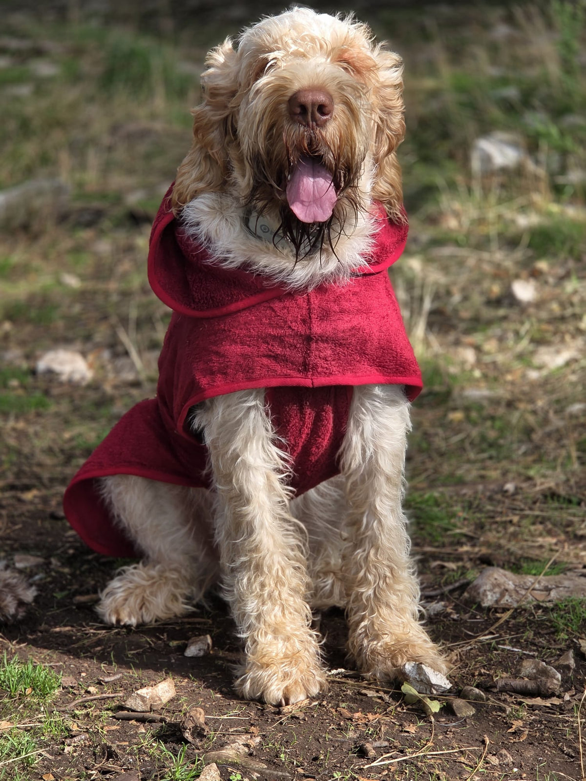 Drying Robe