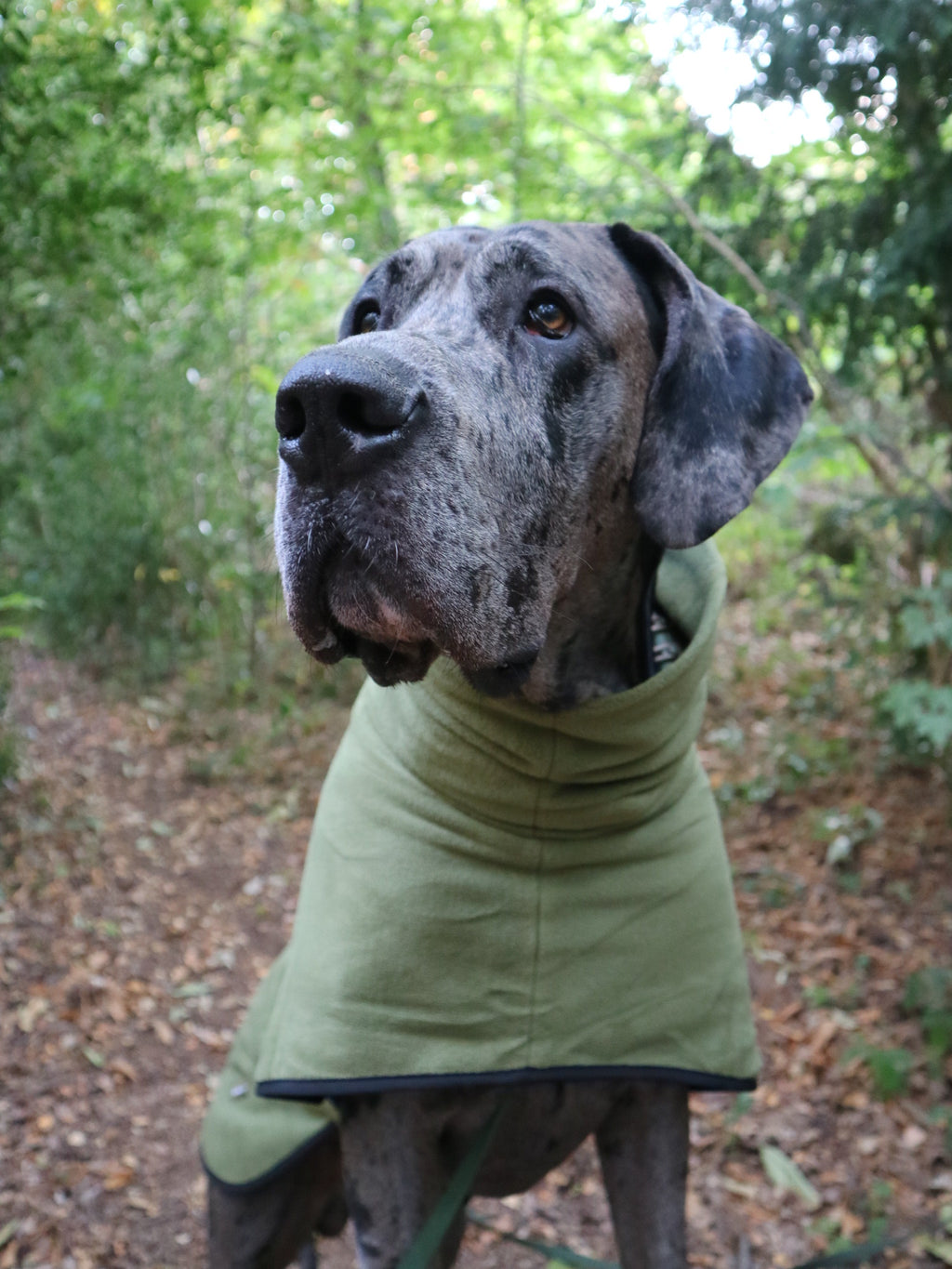 The Woodland Fleece