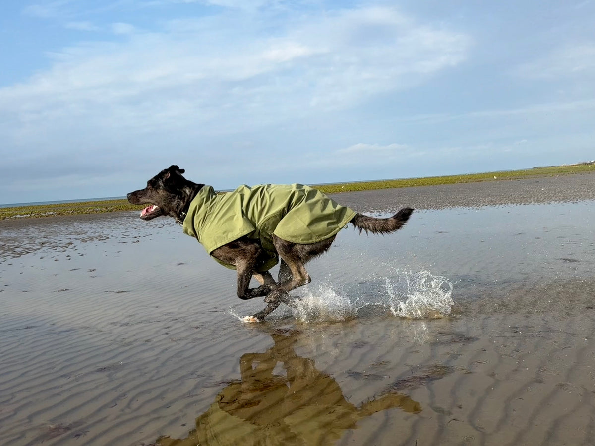 Lightweight Waterproof Jacket