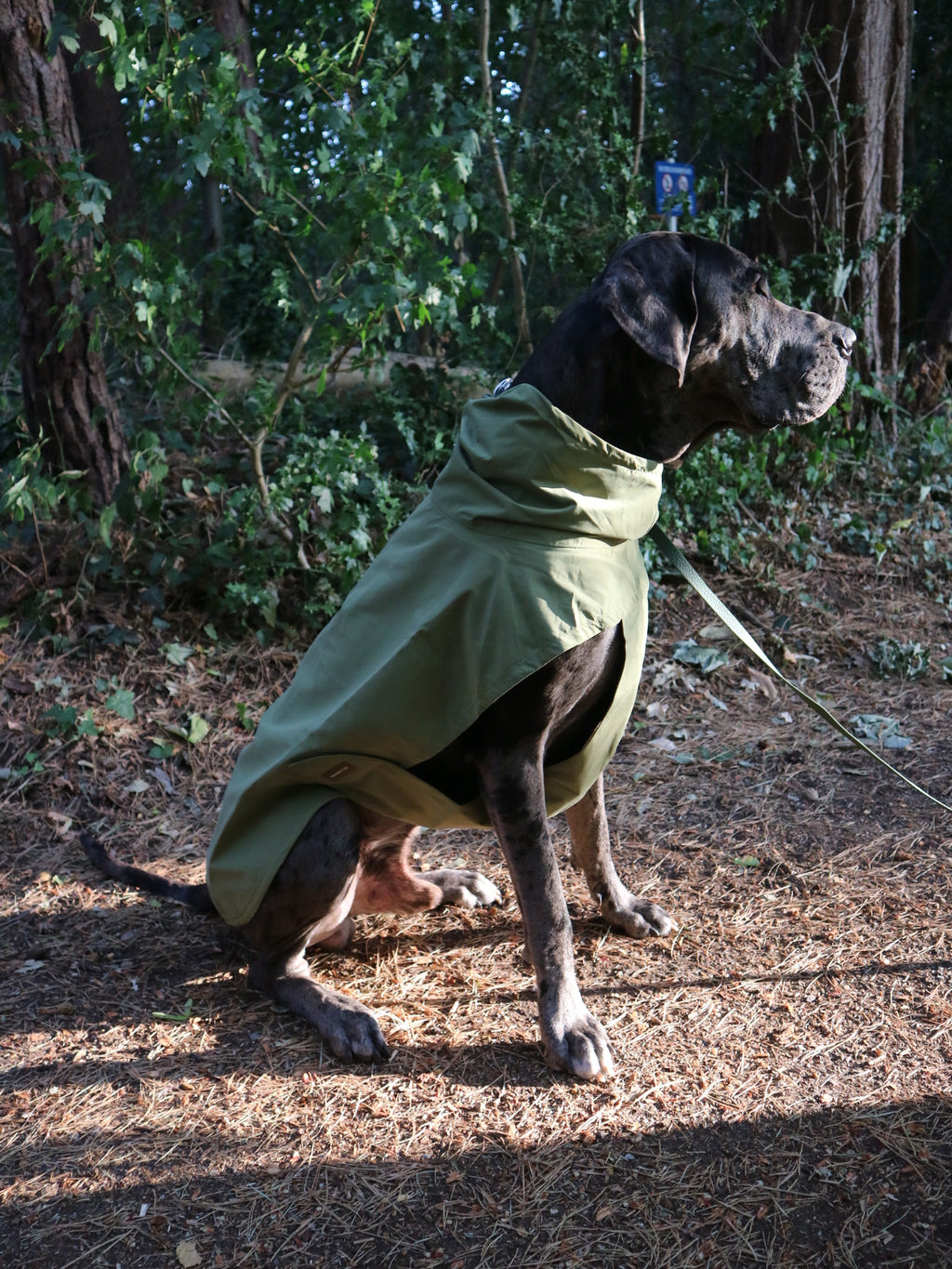 Lightweight Waterproof Jacket