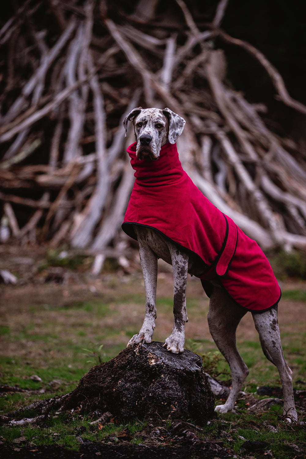 The Woodland Fleece