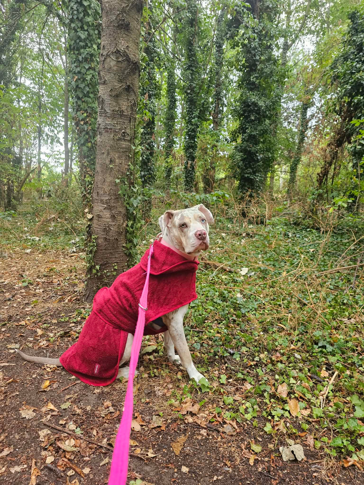 Drying Robe